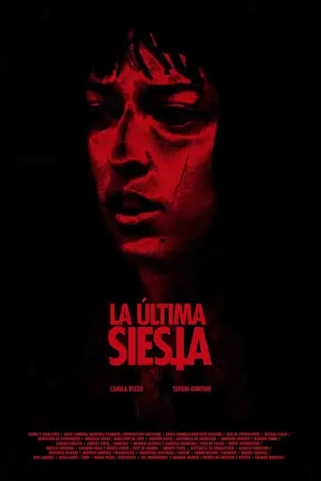 Poster to the movie "The Last Nap" #412788