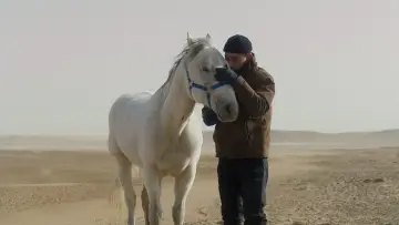 Backdrop to the movie "To Kill a Mongolian Horse" #914808