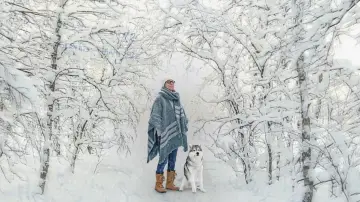 The Snow Between Us poster