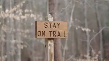 Backdrop to the movie "#17 - To Finish The Barkley Marathons" #418396