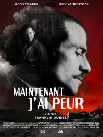 Poster to the movie "Maintenant, j’ai peur" #415671