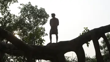 Backdrop to the movie "Bison Kaalamaadan" #786322