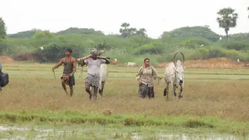 Backdrop to the movie "Bison Kaalamaadan" #786332