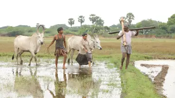Backdrop to the movie "Bison Kaalamaadan" #786354
