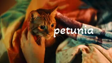 Backdrop to the movie "Petunia" #883290