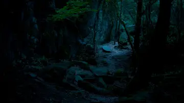 Backdrop to the movie "May the Beasts Come" #416380