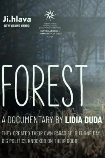 Poster to the movie "Forest" #1096574