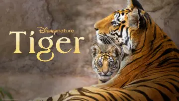 Backdrop to the movie "Tiger" #739235