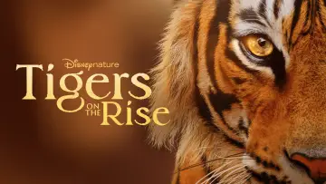 Backdrop to the movie "Tigers on the Rise" #1077541