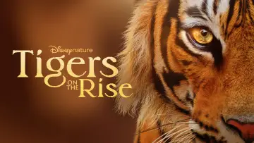 Backdrop to the movie "Tigers on the Rise" #1077542