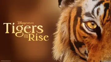 Backdrop to the movie "Tigers on the Rise" #1077544