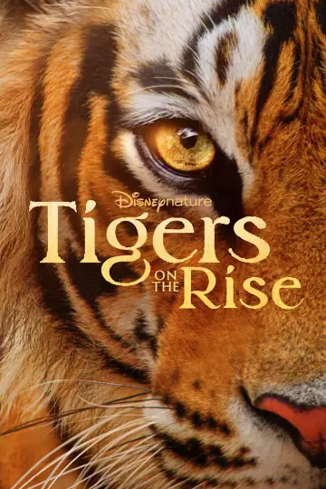 Poster to the movie "Tigers on the Rise" #1077551