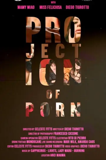 Poster to the movie "Projection of Porn" #1058317