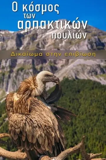 Poster to the movie "The World of Birds of Prey – Right to Survival" #449466