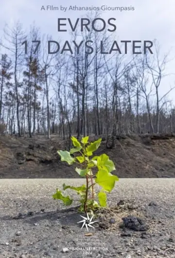 Poster to the movie "Evros – 17 Days Later" #427464