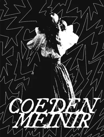 Poster to the movie "Meinir
