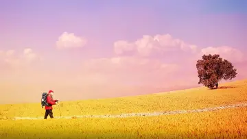 Backdrop to the movie "The Way, My Way" #1092777