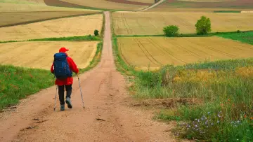 Backdrop to the movie "The Way, My Way" #1092778