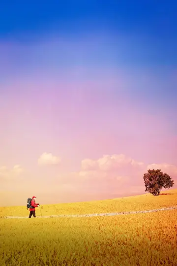 Poster to the movie "The Way, My Way" #1092786