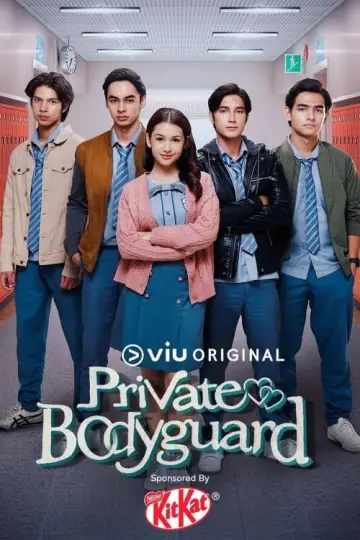 Private Bodyguard poster