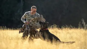 Backdrop to the movie "Heart of the Beast" #1207962