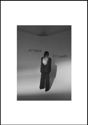 Poster to the movie "Prague Errands" #431769