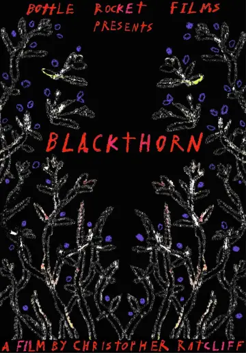 Poster to the movie "Blackthorn" #435446