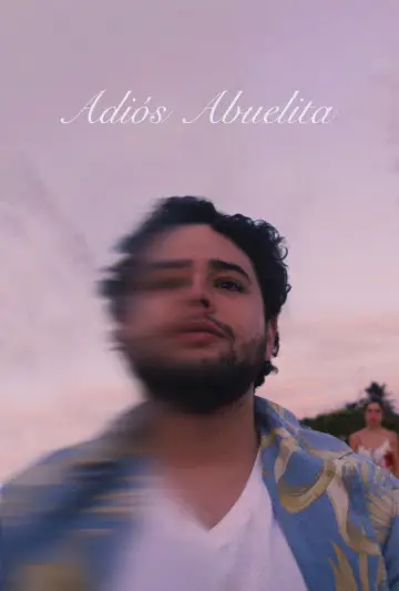 Poster to the movie "Adiós Abuelita" #438088