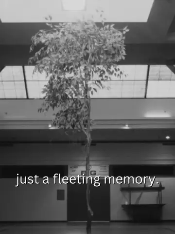 just a fleeting memory. poster