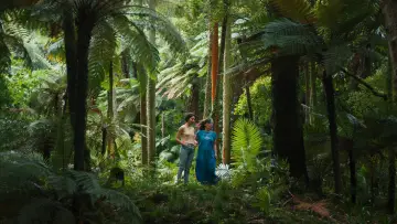 Backdrop to the movie "Ariel" #838939