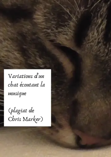 Poster to the movie "Variations of a cat listening to music (Chris Marker plagiarism)" #427259