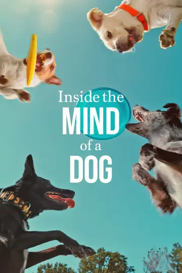 Poster to the movie "Inside the Mind of a Dog" #883153