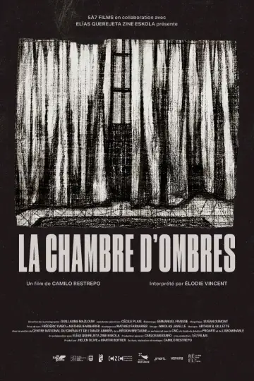 Room of Shadows poster