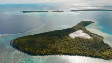 Backdrop to the movie "Marlon Brando in Paradise" #1076535