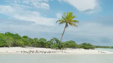 Backdrop to the movie "Marlon Brando in Paradise" #1076536