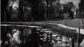 Backdrop to the movie "Childhood Tales" #443935