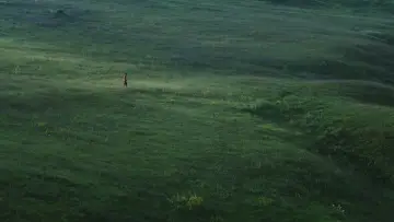 Backdrop to the movie "Desire Lines" #1650435