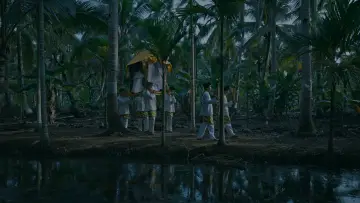 Backdrop to the movie "The Lady in White" #443365