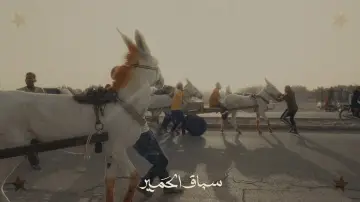 Backdrop to the movie "Donkey Race" #1090912