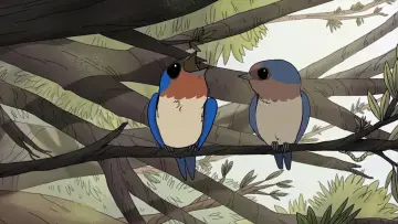 Backdrop to the movie "Birds" #1574487