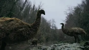 Backdrop to the movie "Mystery of the Giant Birds" #1089218