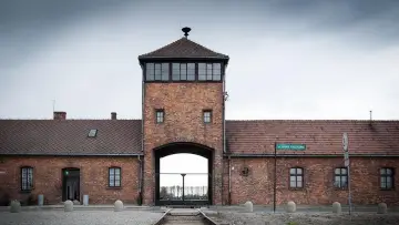 Backdrop to the movie "The Hell of Auschwitz: Maus by Art Spiegelman" #1089238