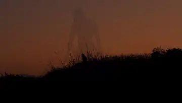 Backdrop to the movie "A World Softly Lulls" #1089209