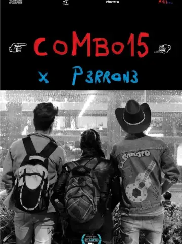 COMBO15 poster