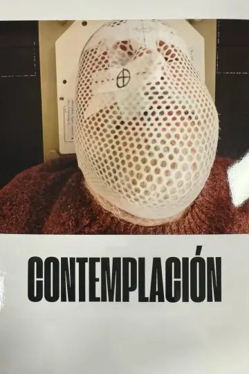 Poster to the movie "Contemplation" #1090813