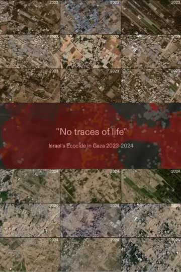 No Traces of Life poster