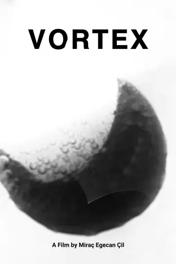 Poster to the movie "Vortex" #449431