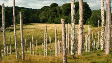 Backdrop to the movie "28 Years Later: The Bone Temple" #797410