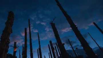 Backdrop to the movie "28 Years Later: The Bone Temple" #828414