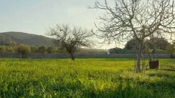 Backdrop to the movie "Ca Nostra" #1122574
